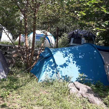 Kamp Seosko Domacinstvo Radman Otel Herceg Novi Dış mekan fotoğraf