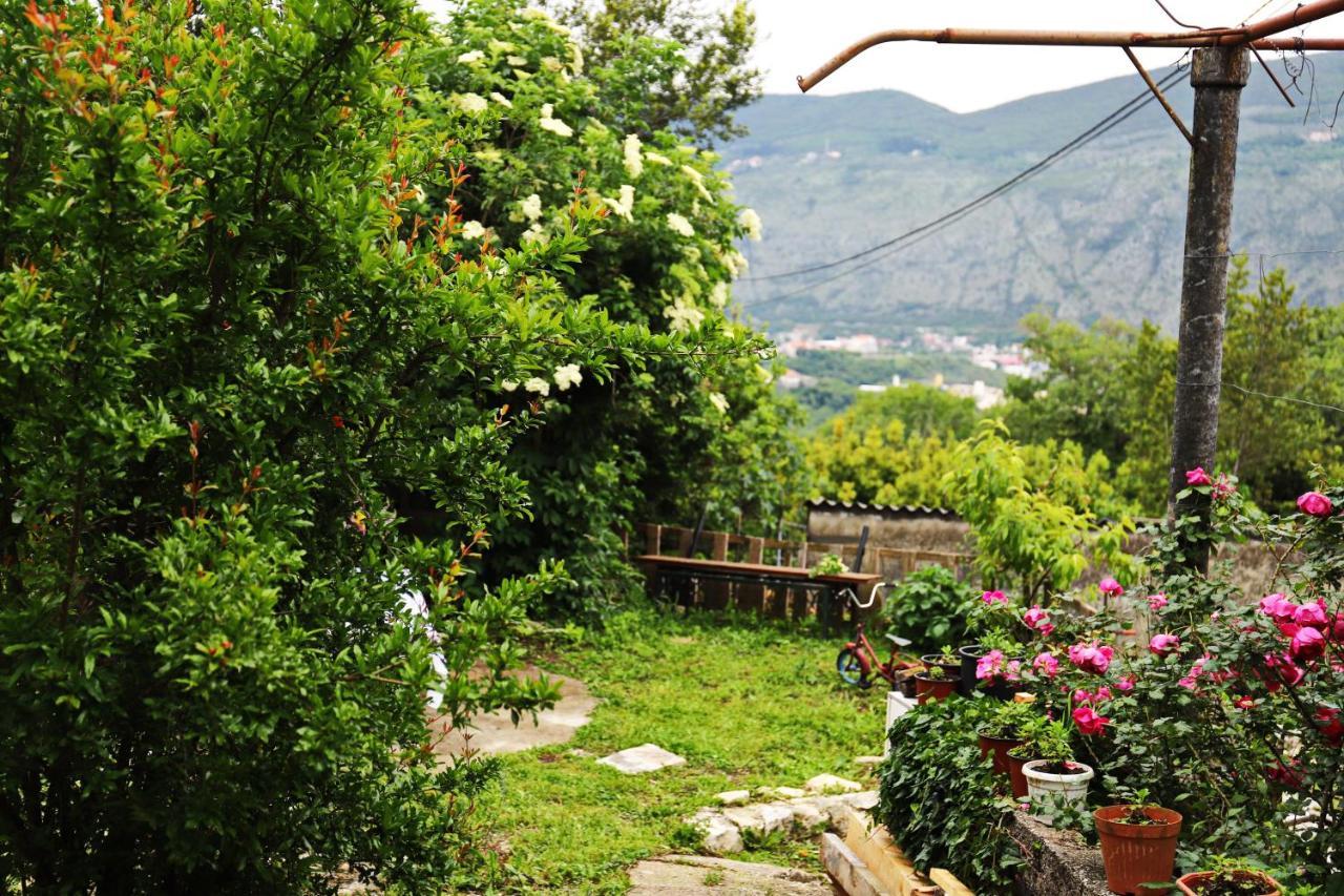 Kamp Seosko Domacinstvo Radman Otel Herceg Novi Dış mekan fotoğraf