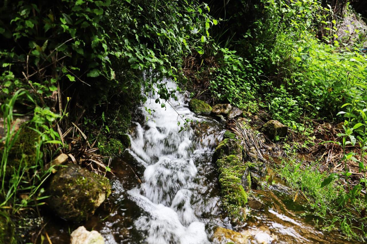 Kamp Seosko Domacinstvo Radman Otel Herceg Novi Dış mekan fotoğraf