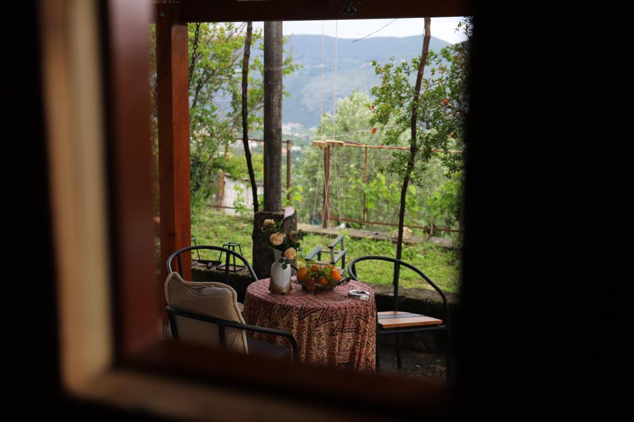 Kamp Seosko Domacinstvo Radman Otel Herceg Novi Dış mekan fotoğraf