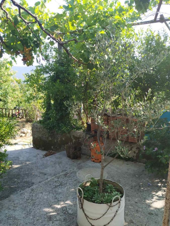 Kamp Seosko Domacinstvo Radman Otel Herceg Novi Dış mekan fotoğraf