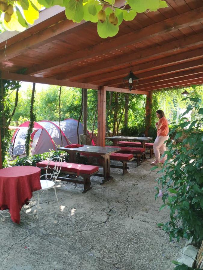 Kamp Seosko Domacinstvo Radman Otel Herceg Novi Dış mekan fotoğraf