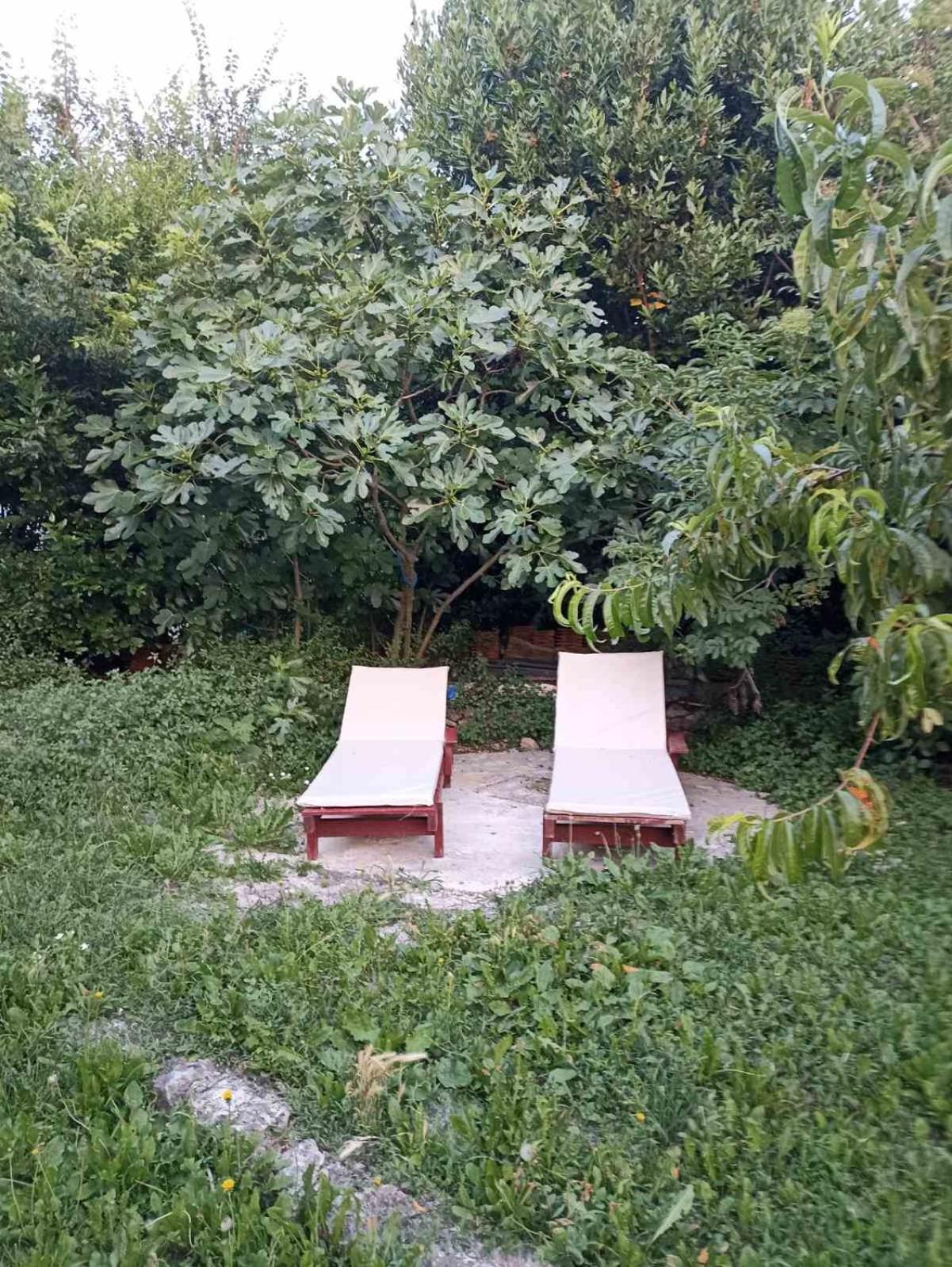 Kamp Seosko Domacinstvo Radman Otel Herceg Novi Dış mekan fotoğraf
