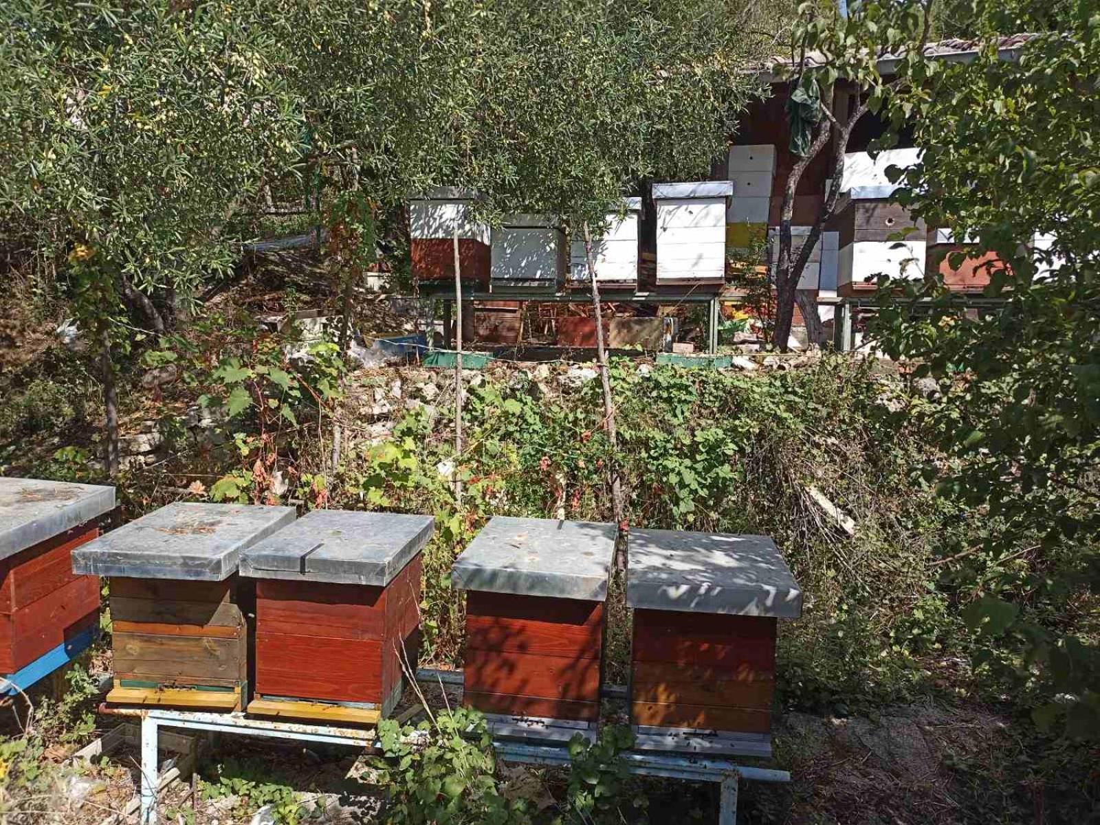 Kamp Seosko Domacinstvo Radman Otel Herceg Novi Dış mekan fotoğraf