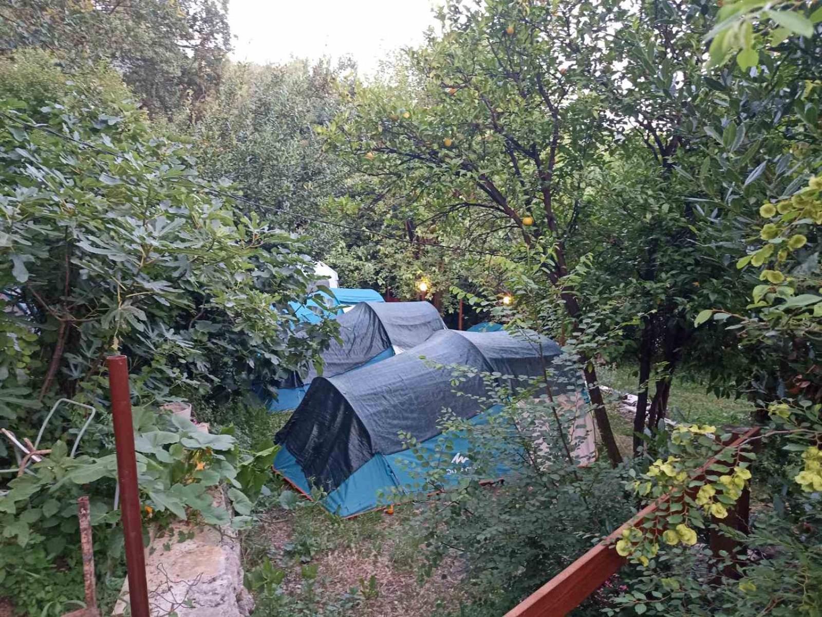 Kamp Seosko Domacinstvo Radman Otel Herceg Novi Dış mekan fotoğraf